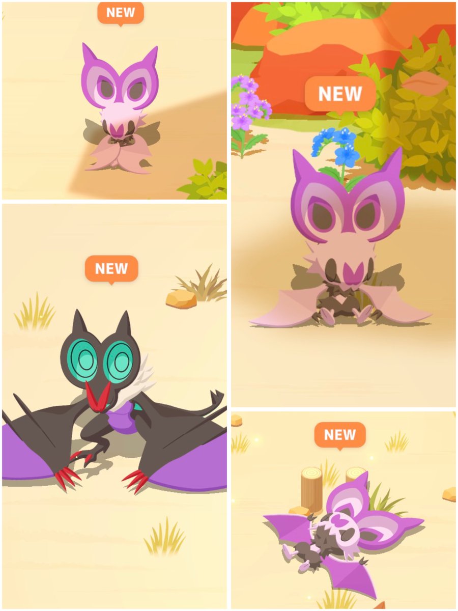 こいき@ポケモンスリープ tweet media