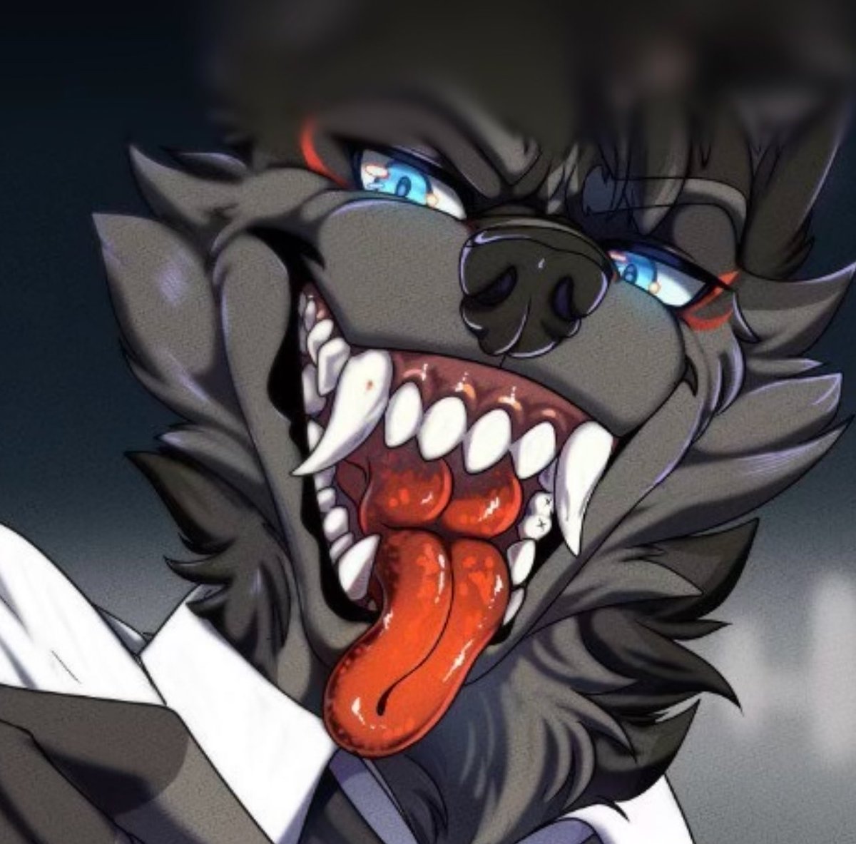 🐺𝙍𝙀𝘿𝙔_𝙒𝙄𝙇𝙇🐺 tweet media