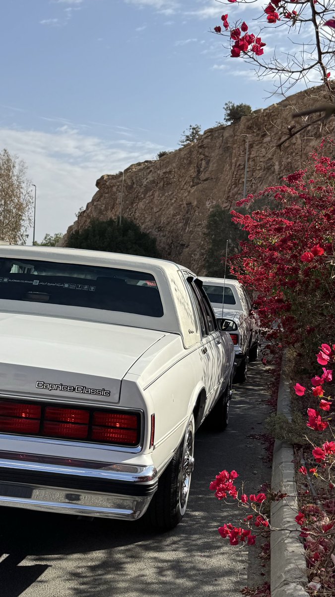 بندر التميمي tweet media