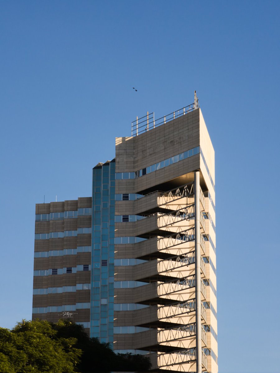 Shotbyogv |Creator tweet media