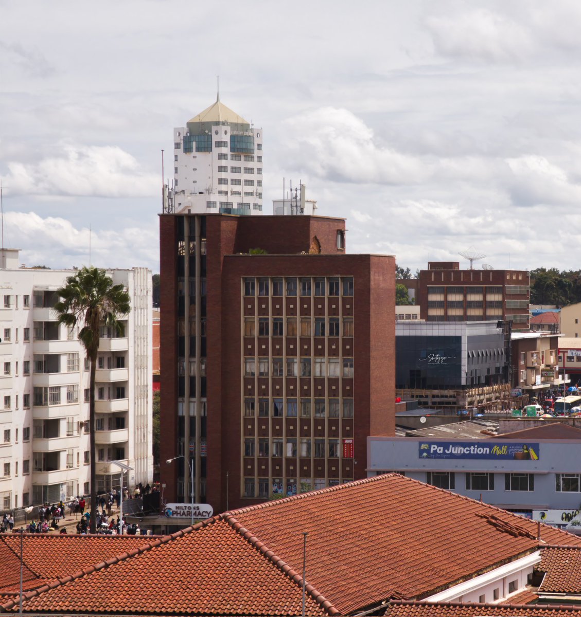 Shotbyogv |Creator tweet media