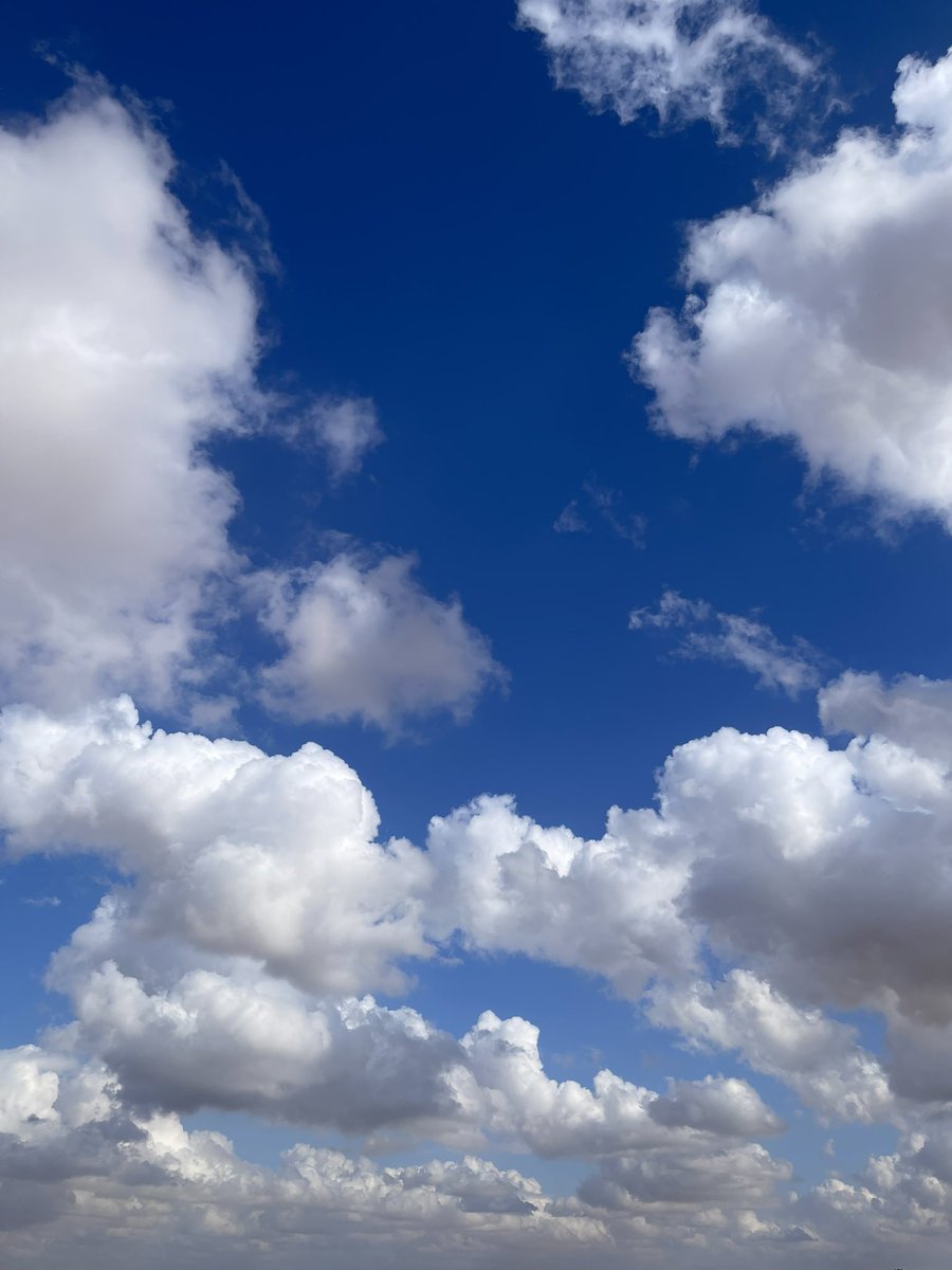 𝔅𝔩𝔲𝔫𝔱𝔰𝔱𝔬𝔞𝔰𝔥 tweet media