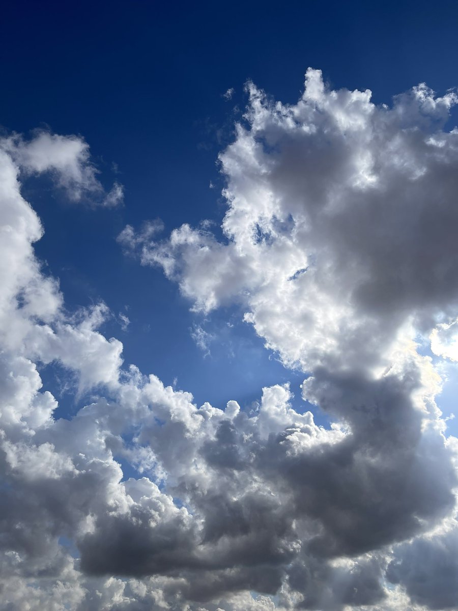 𝔅𝔩𝔲𝔫𝔱𝔰𝔱𝔬𝔞𝔰𝔥 tweet media