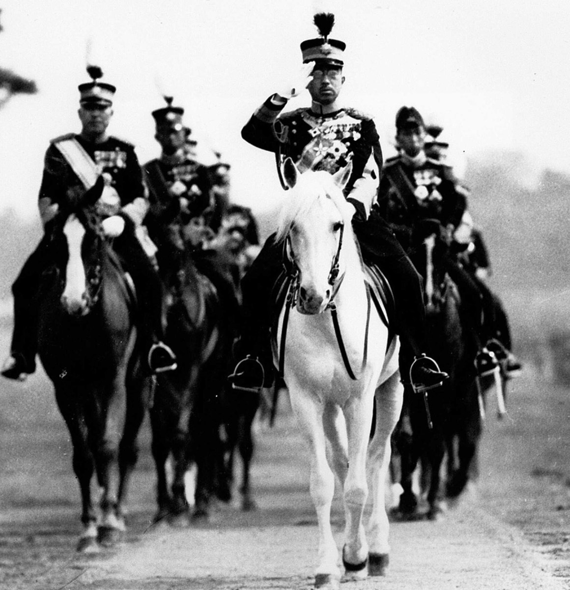 長谷川吉田 Hasegawa Yoshida tweet media