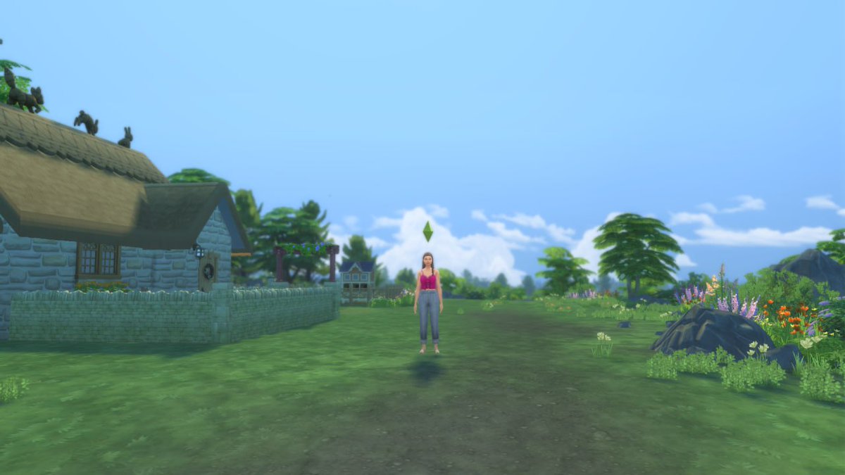 Simmer 🎮 tweet media