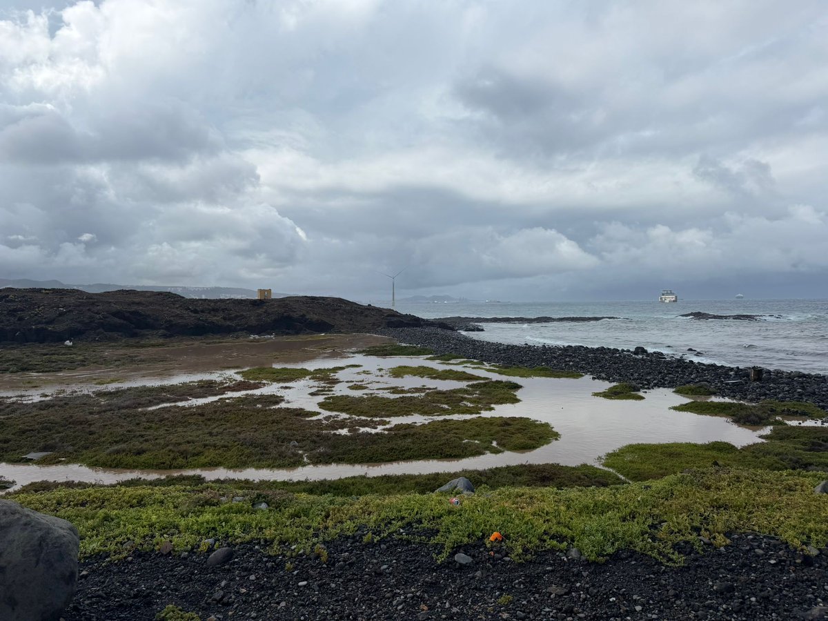 Ayuntamiento de Telde tweet media