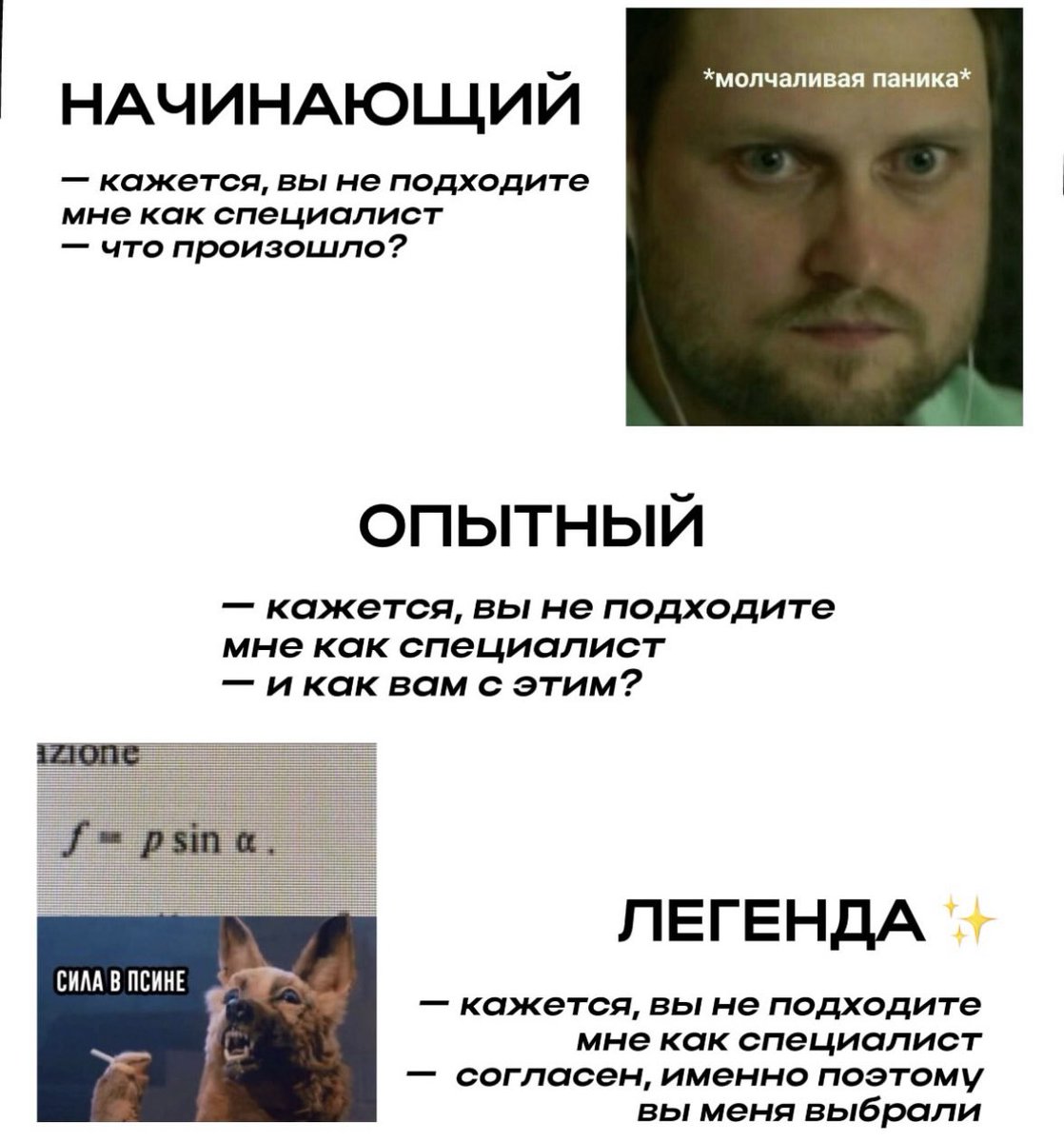 Давай перейдём на ты tweet media