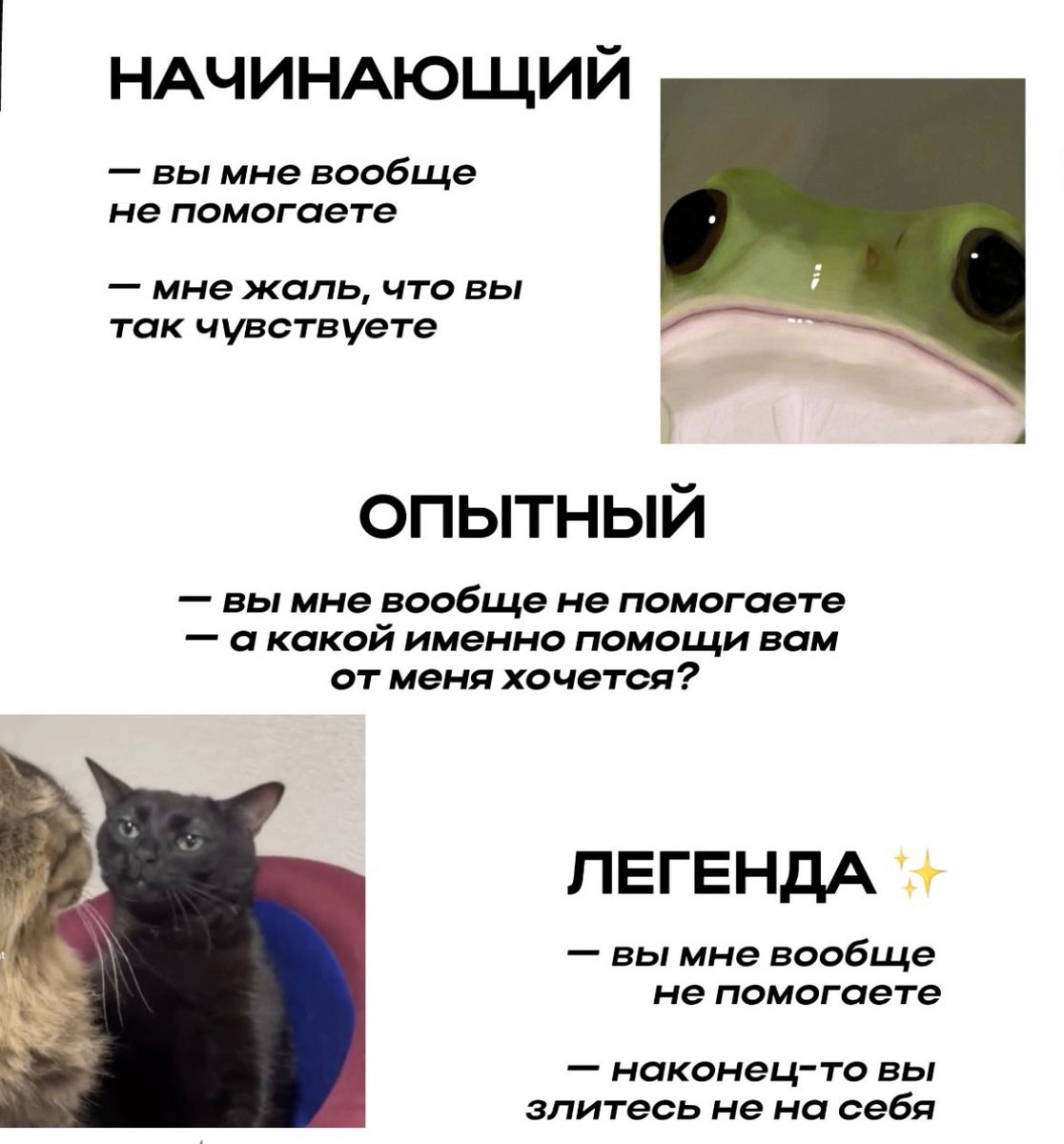 Давай перейдём на ты tweet media