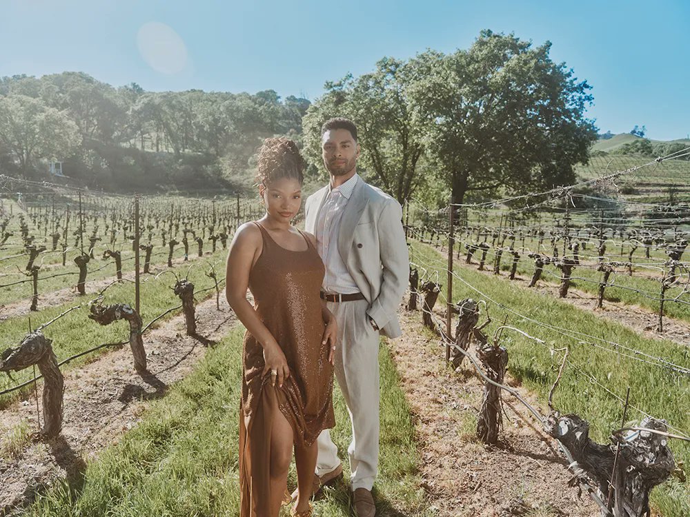 rom-com archive tweet media