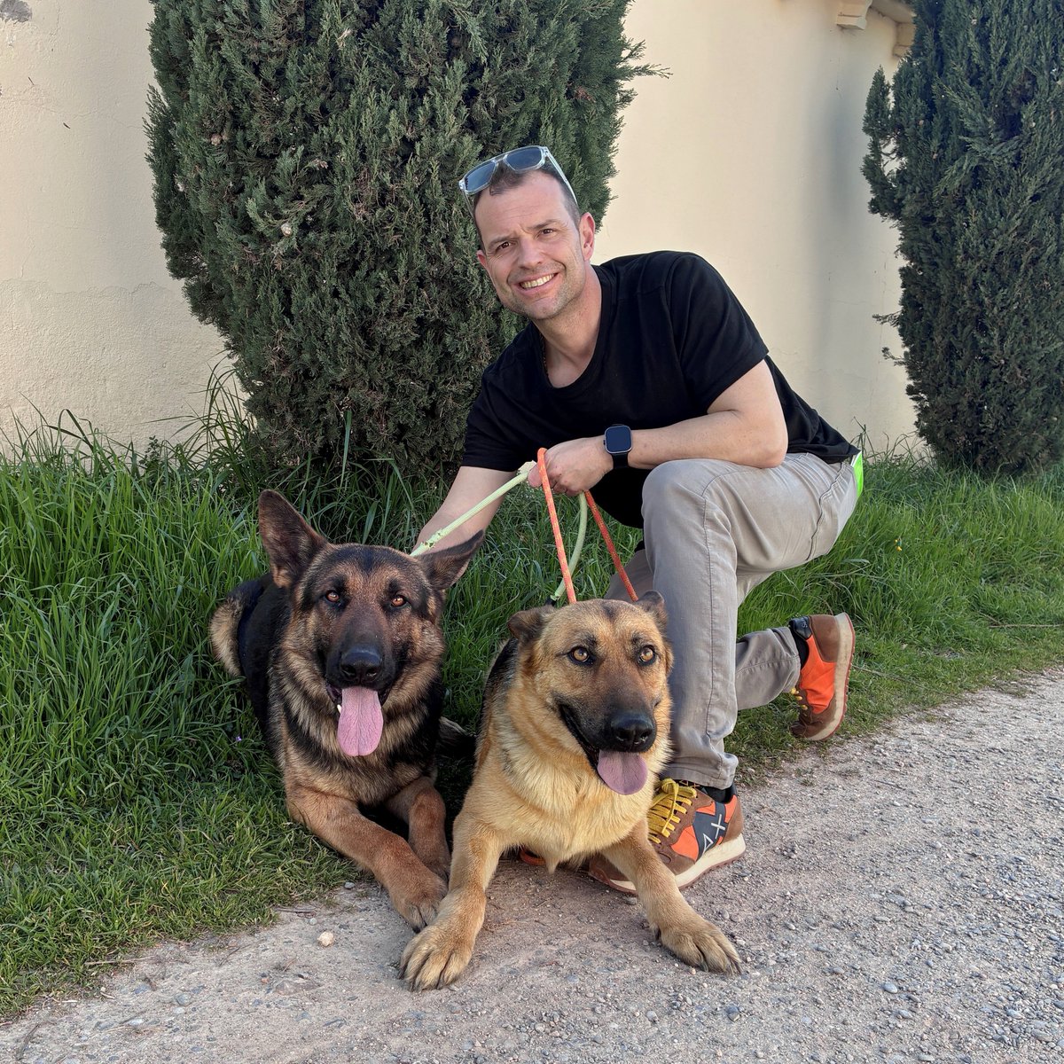 El Refugi dels Peluts tweet media