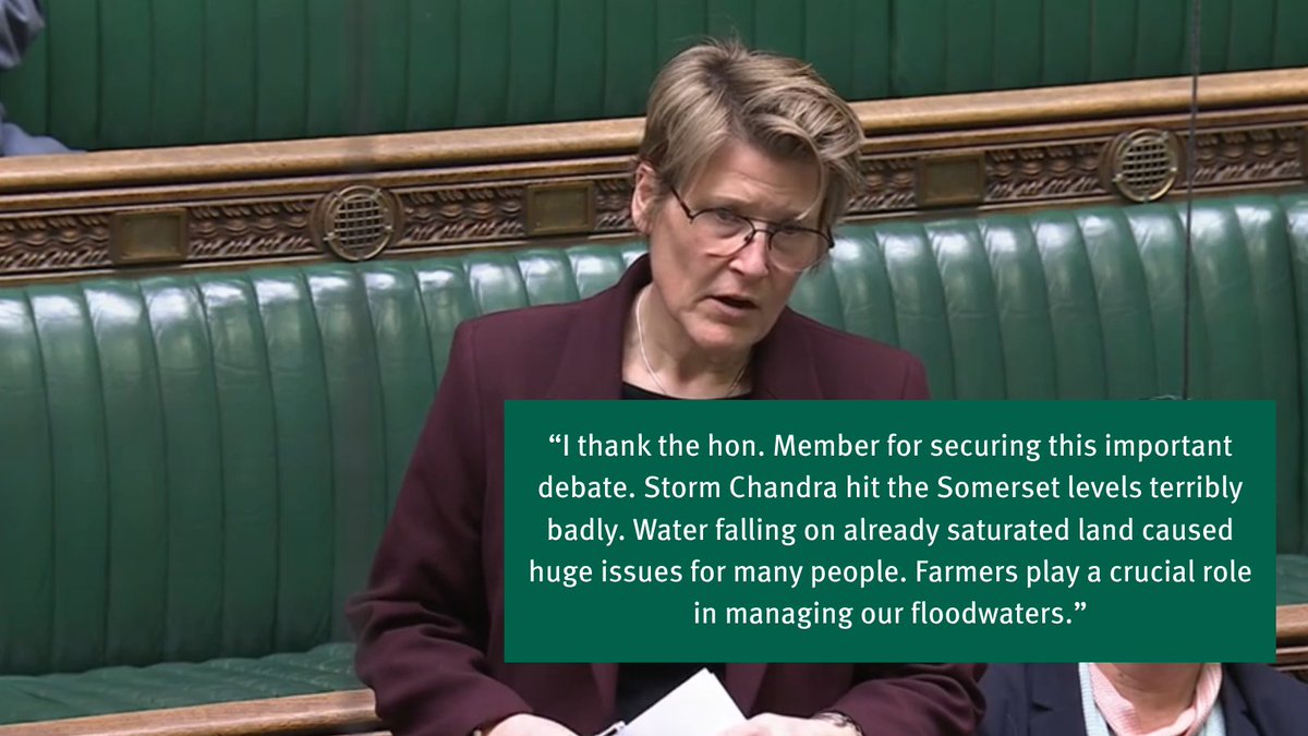 All-Party Parliamentary Group on the Environment tweet media