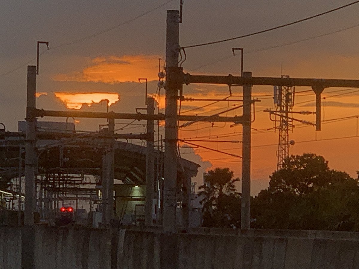 sherynade wilhem tweet media