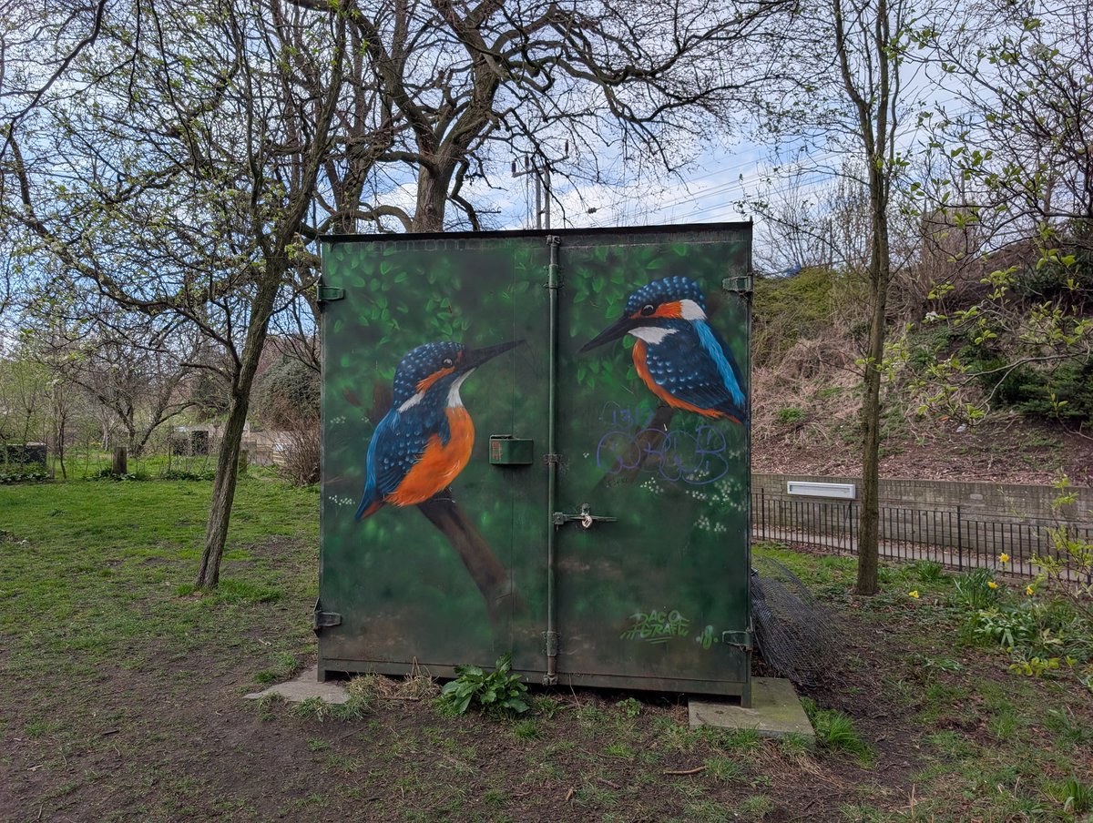 Stair Cleaning Edinburgh tweet media