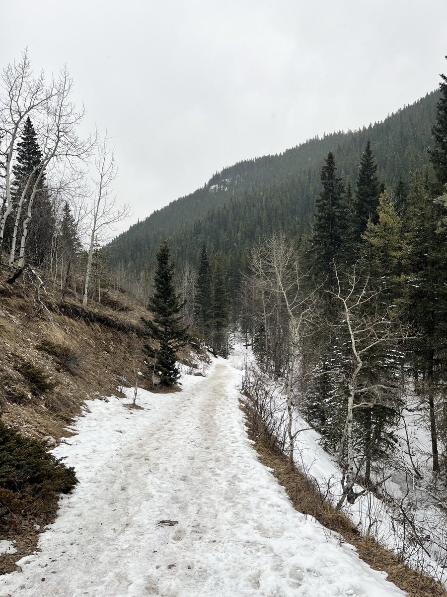 michelle d tweet media