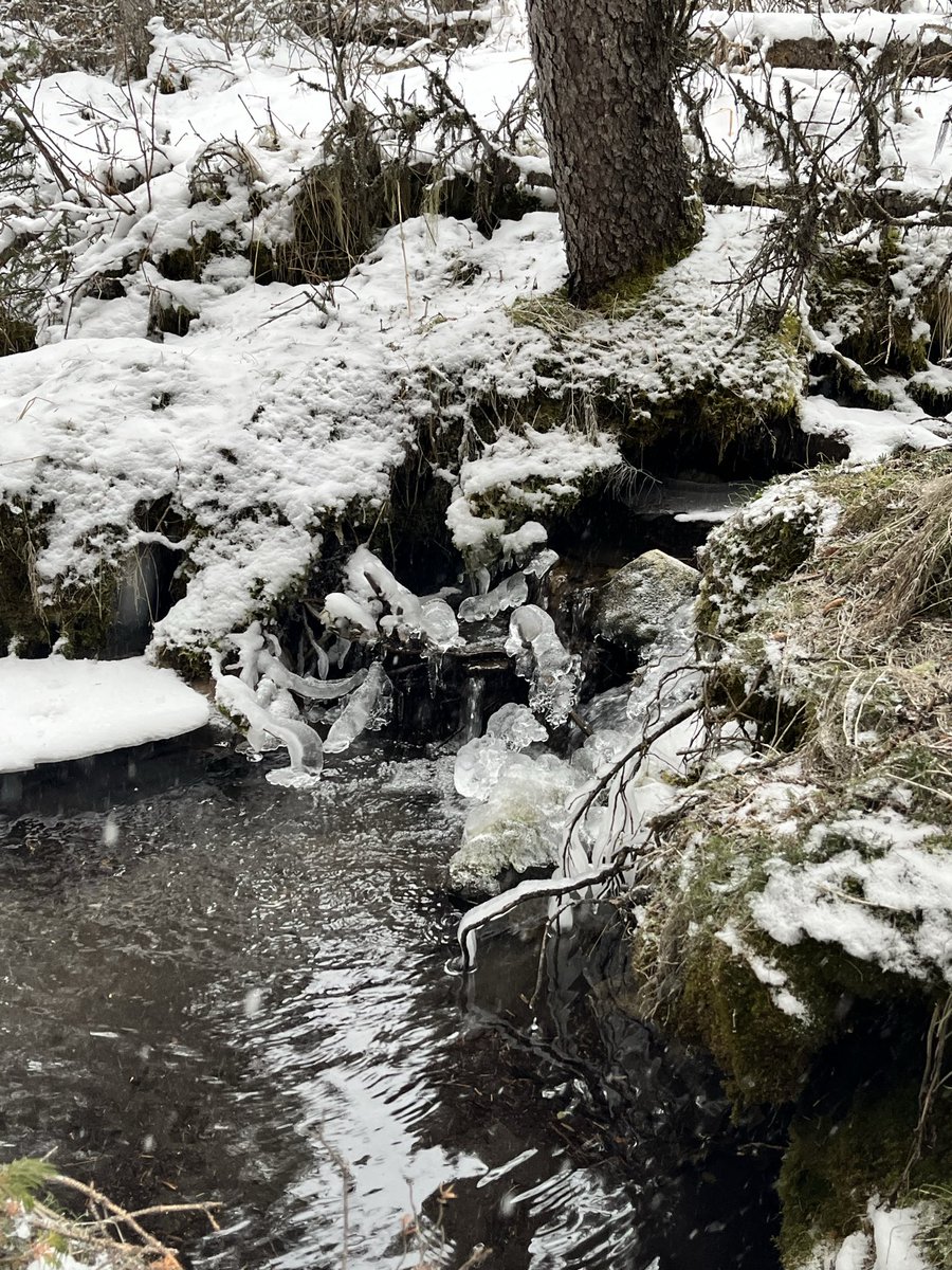 michelle d tweet media