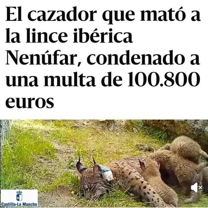 GanaElPSOE (@ganaelpsoe) on Twitter photo 