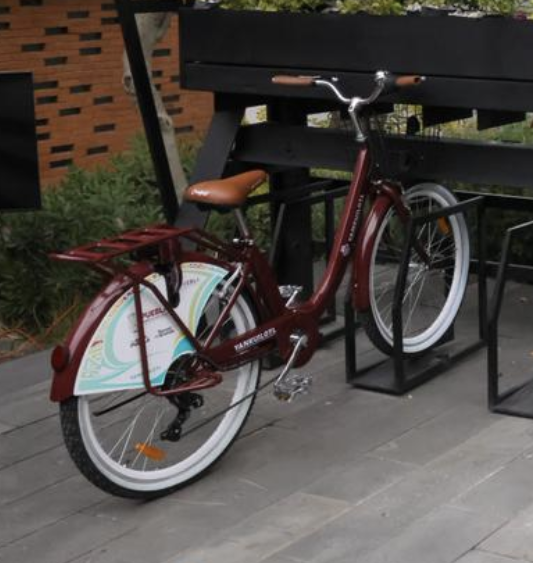 Armando Pliego Ishikawa ⏳ tweet media