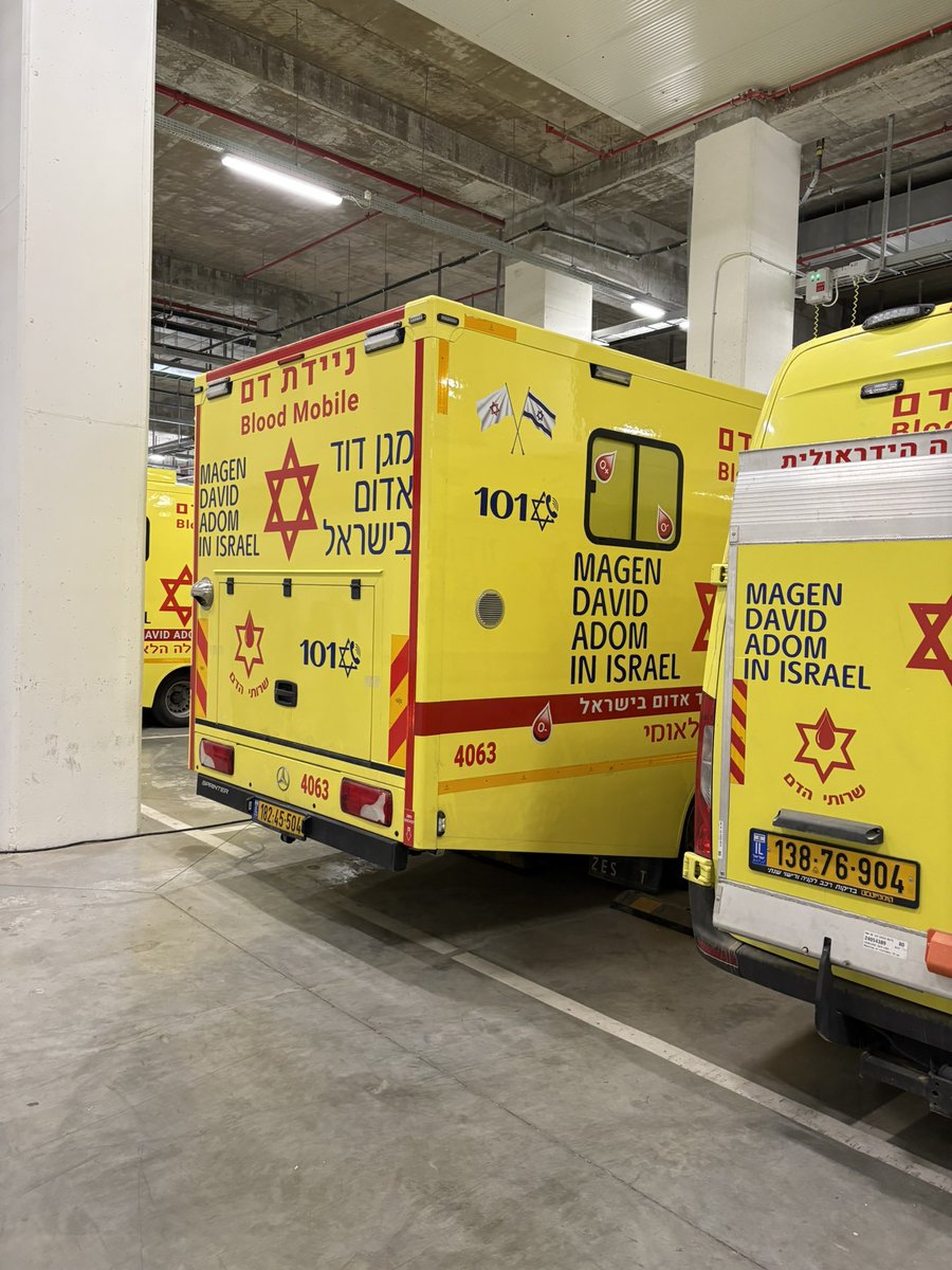 Veronika Kuchynova tweet media