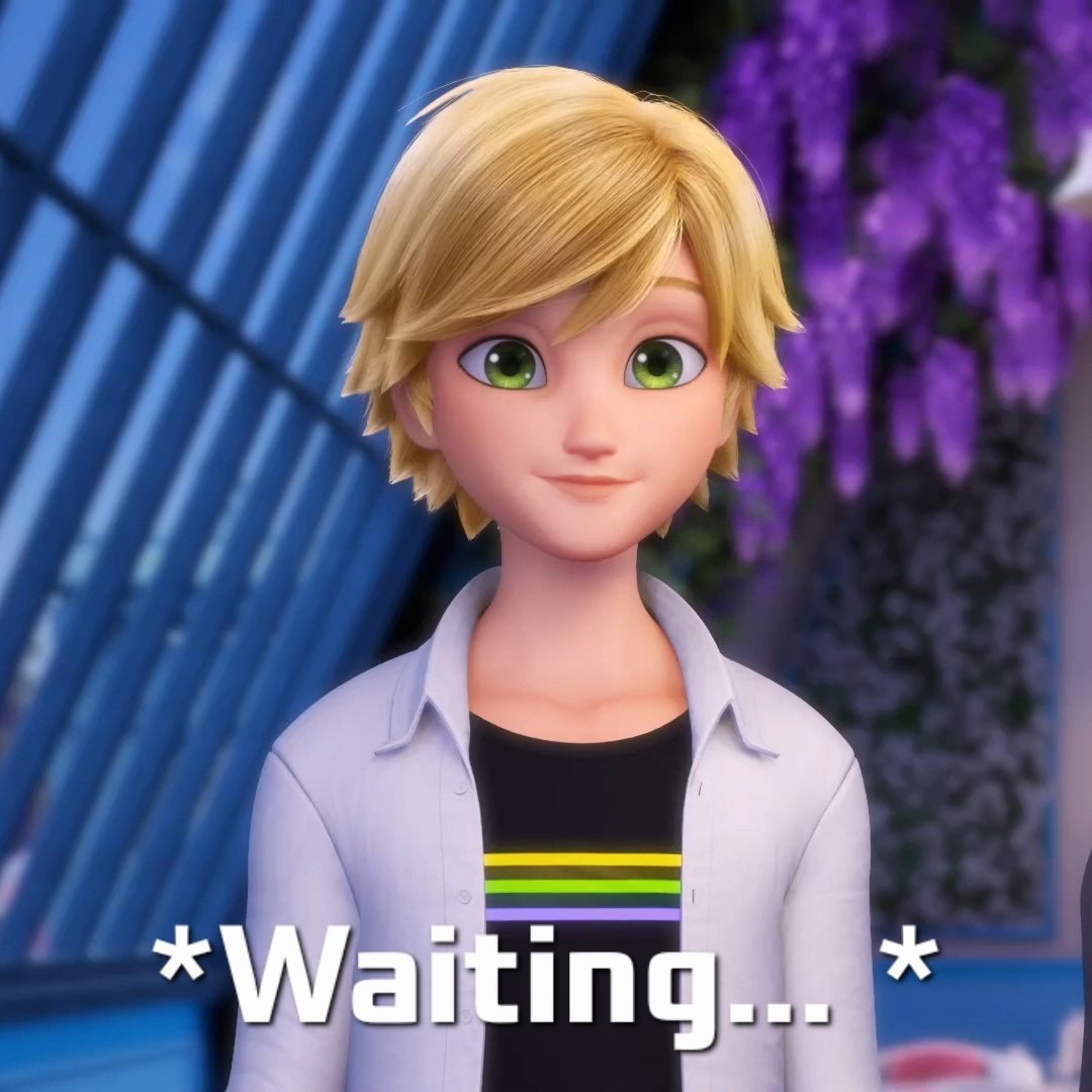 Miraculous Fans World 🐾 tweet media