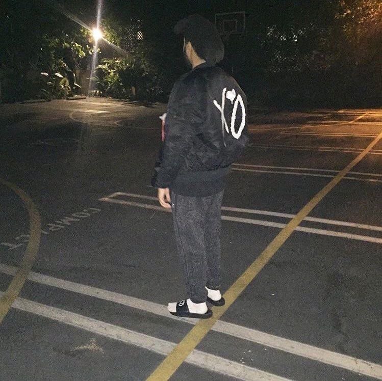 The Birds. tweet media