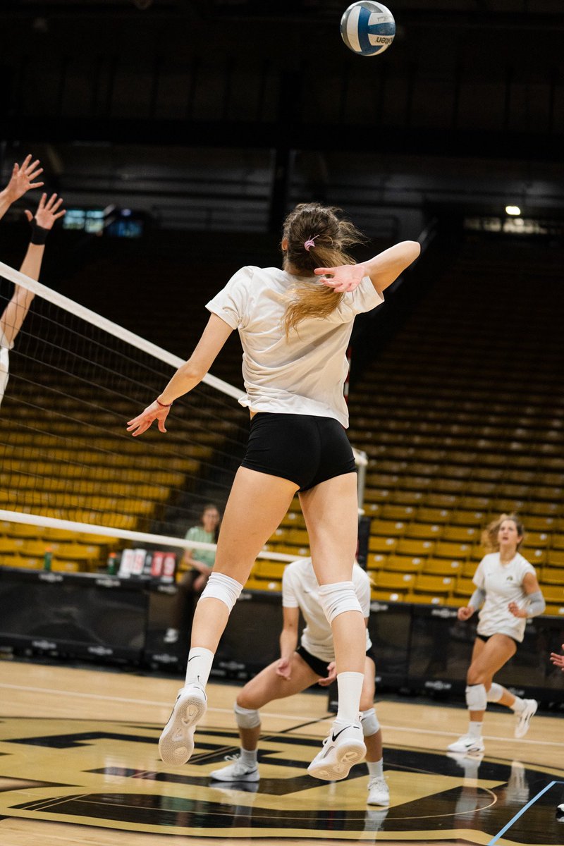 Colorado Buffaloes Volleyball tweet media