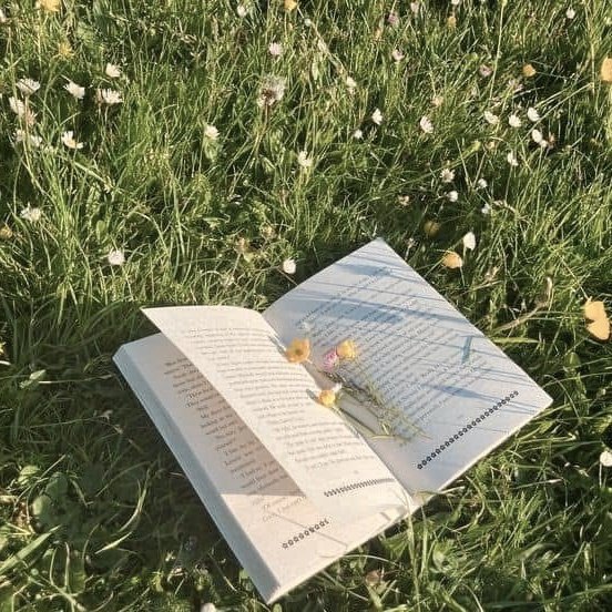 sara 🍃 tweet media