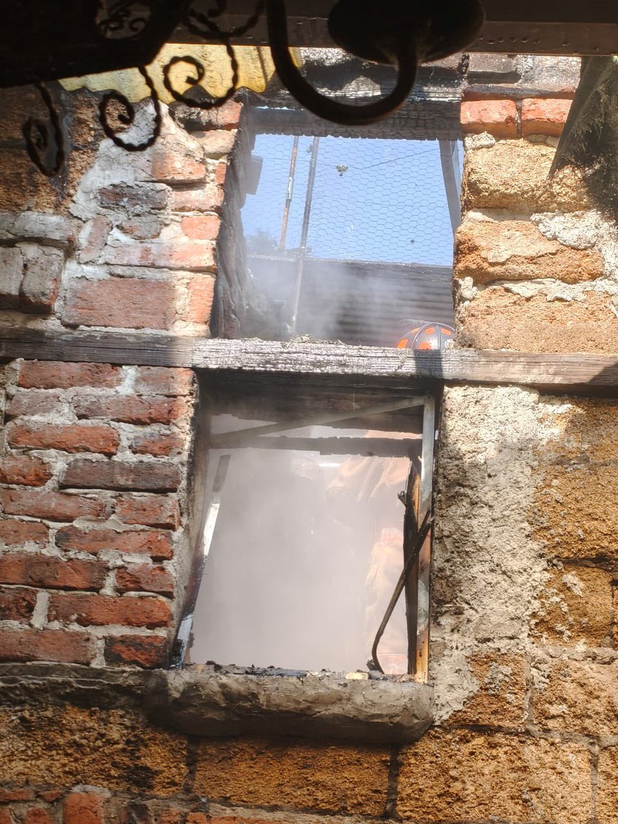 Alessandra Rojo de la Vega tweet media