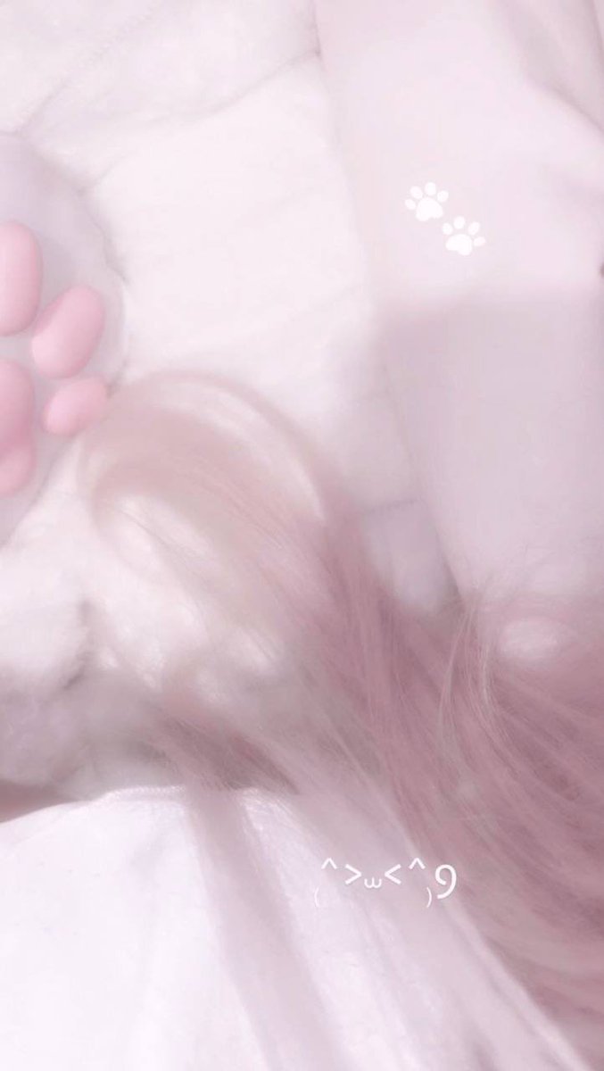 misa ♡ tweet media