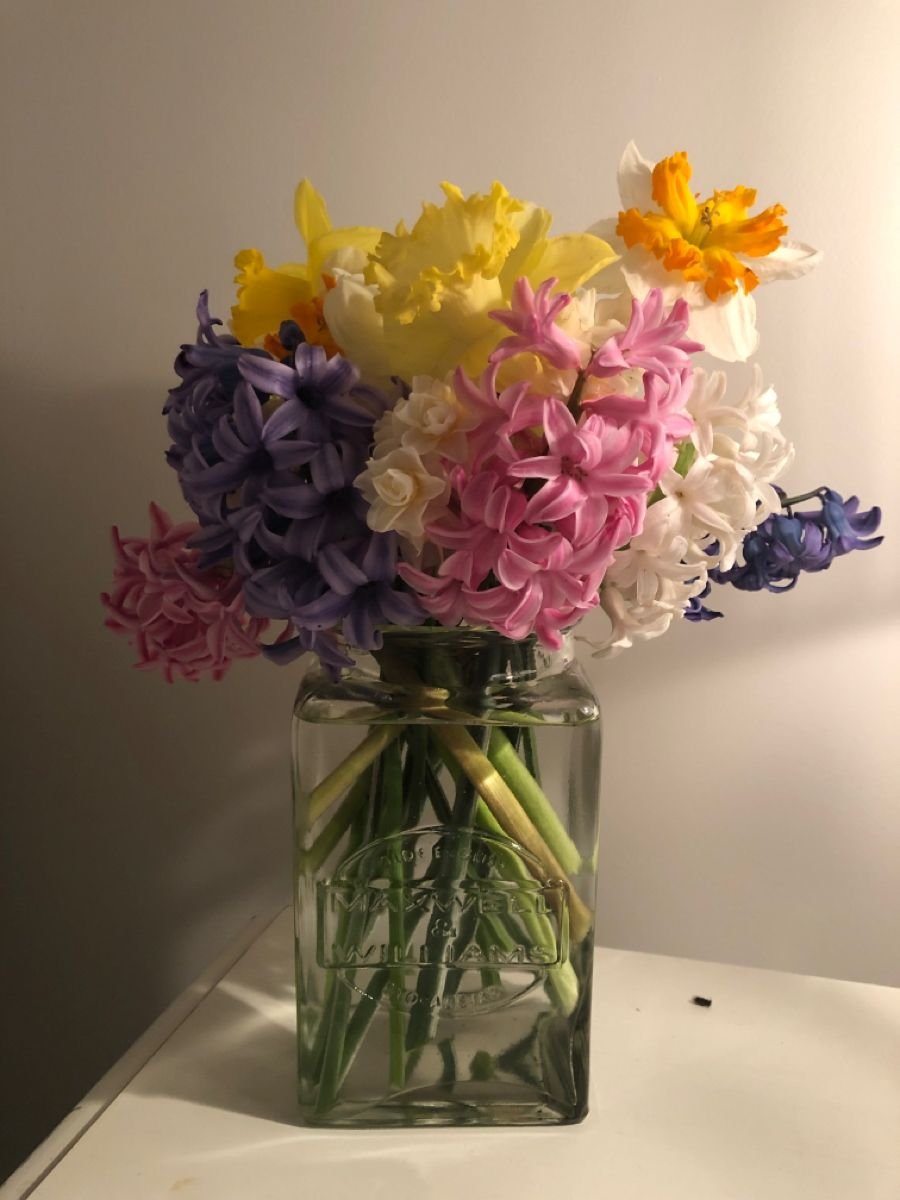 La vie est belle tweet media