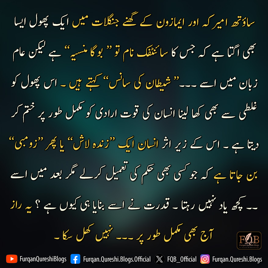 Furqan Qureshi Blogs tweet media