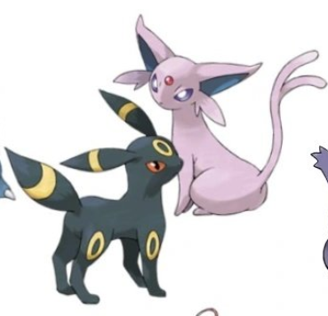 davikedex's tweet photo. @PokeDailyPost Day and Night. Espeon to attack and umbreon for defense https://t.co/cwkP0mafMp