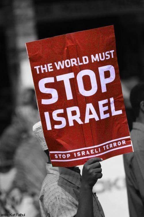 Shinning Star tweet media