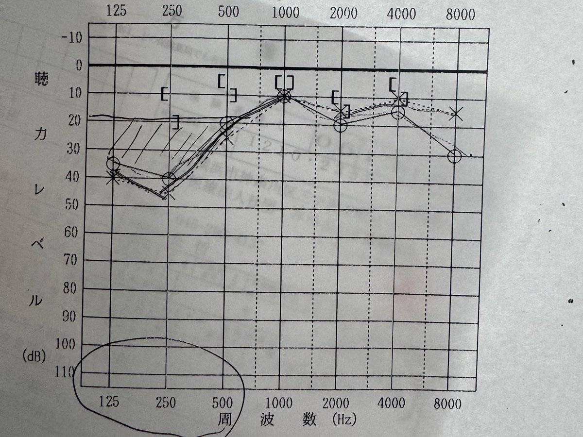 ed1t_mahou tweet media