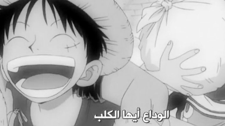 🪽وسَـن tweet media