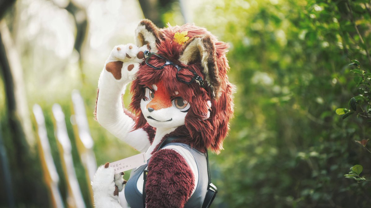 祈橘 ききつ🍁🦊➡️JMOF2026 tweet media