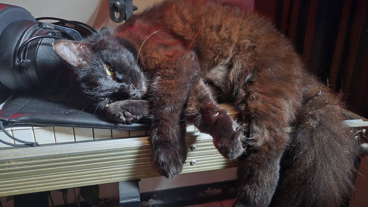 Sayur Bayam Jaksel tweet media