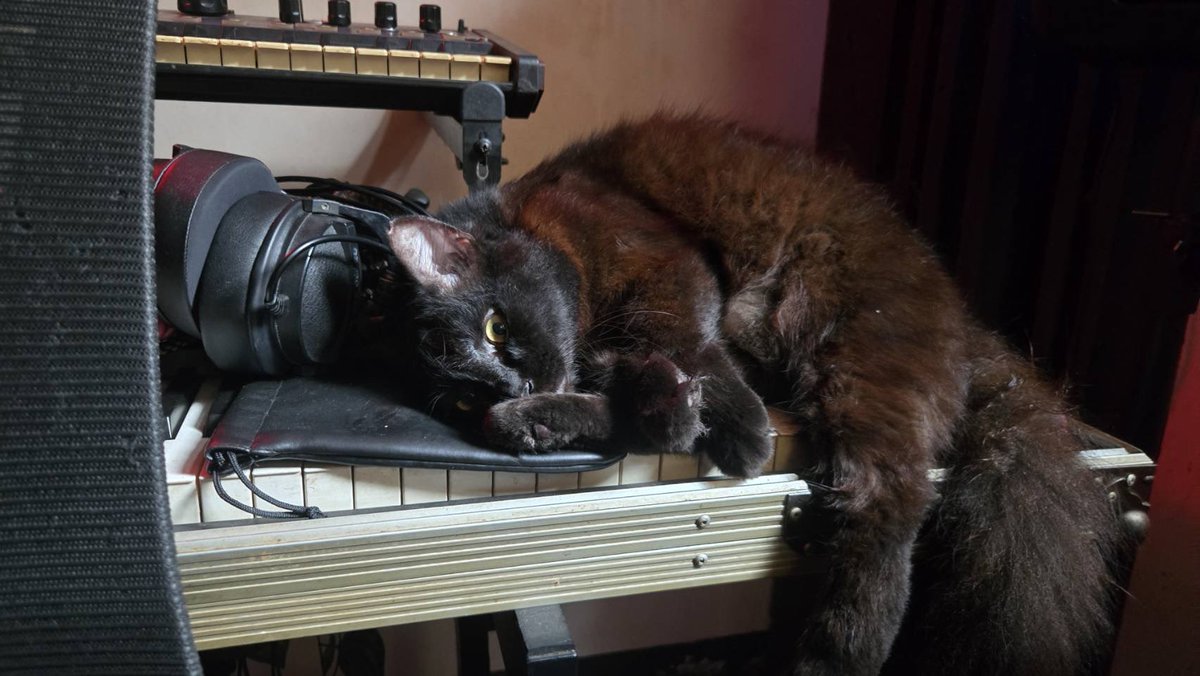 Sayur Bayam Jaksel tweet media