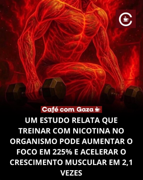 Andore 🦇 tweet media