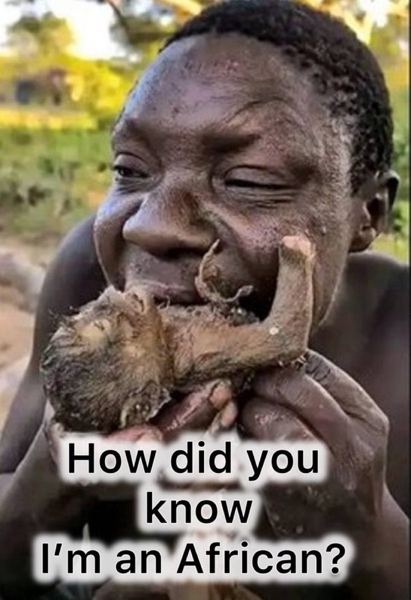 Sanraal08 tweet media