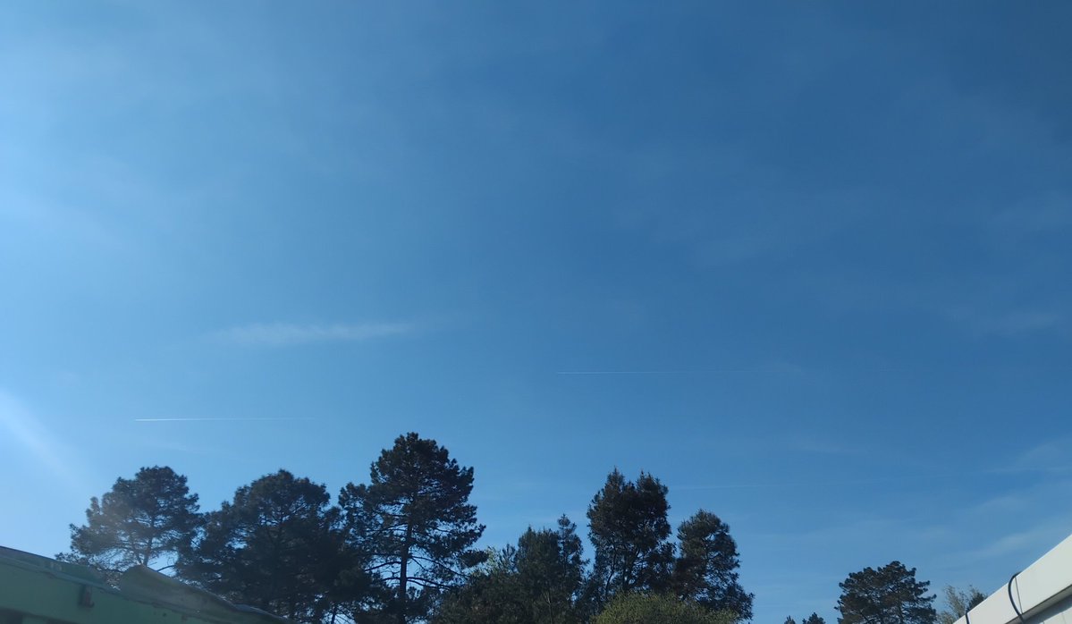 CielClair tweet media