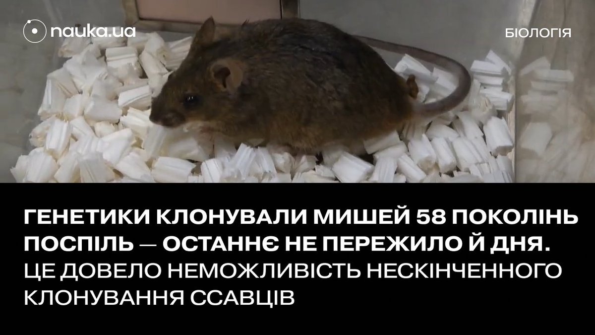 NAUKA.UA | Новини науки tweet media