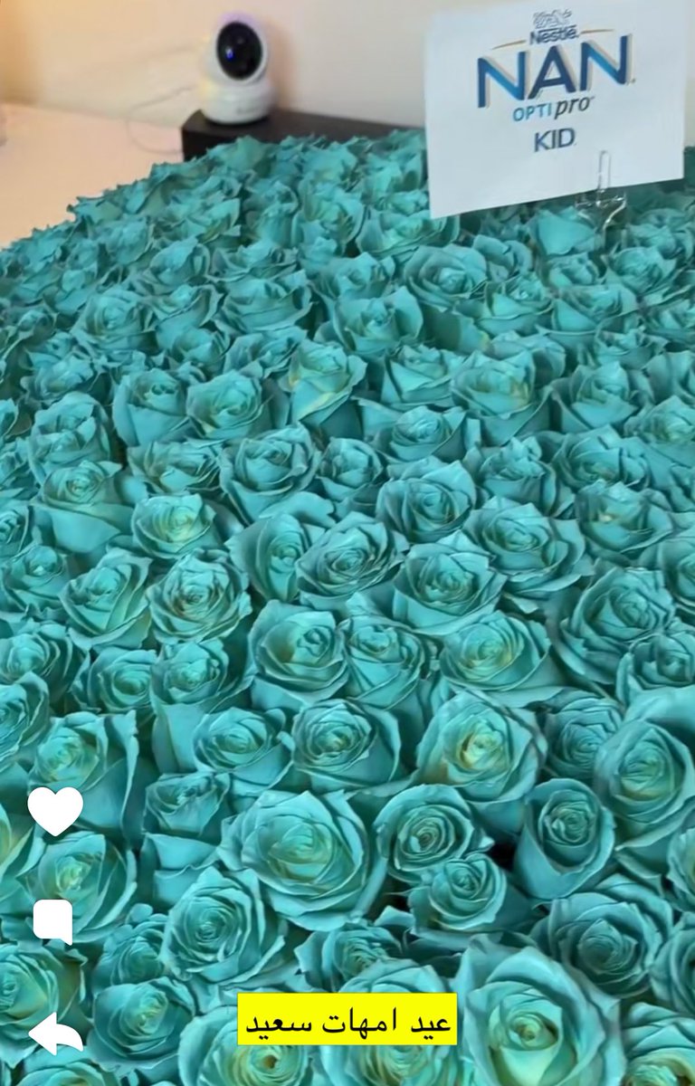 أيار | Ayar tweet media