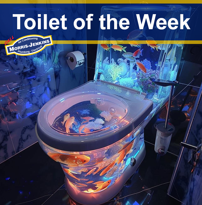 Morris-Jenkins tweet media