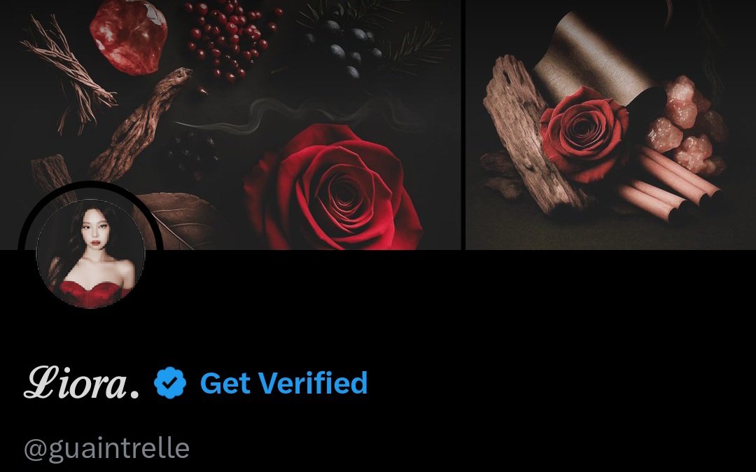 ℒ𝑖𝑜𝑟𝑎. tweet media