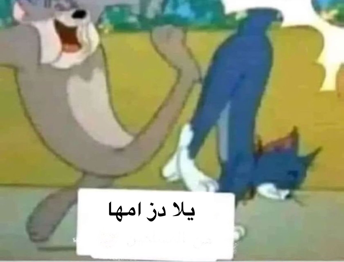 نيكولاس | 昴 tweet media