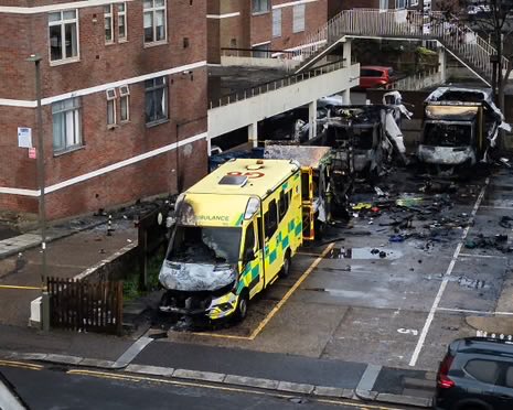 Uncommon Sense tweet media