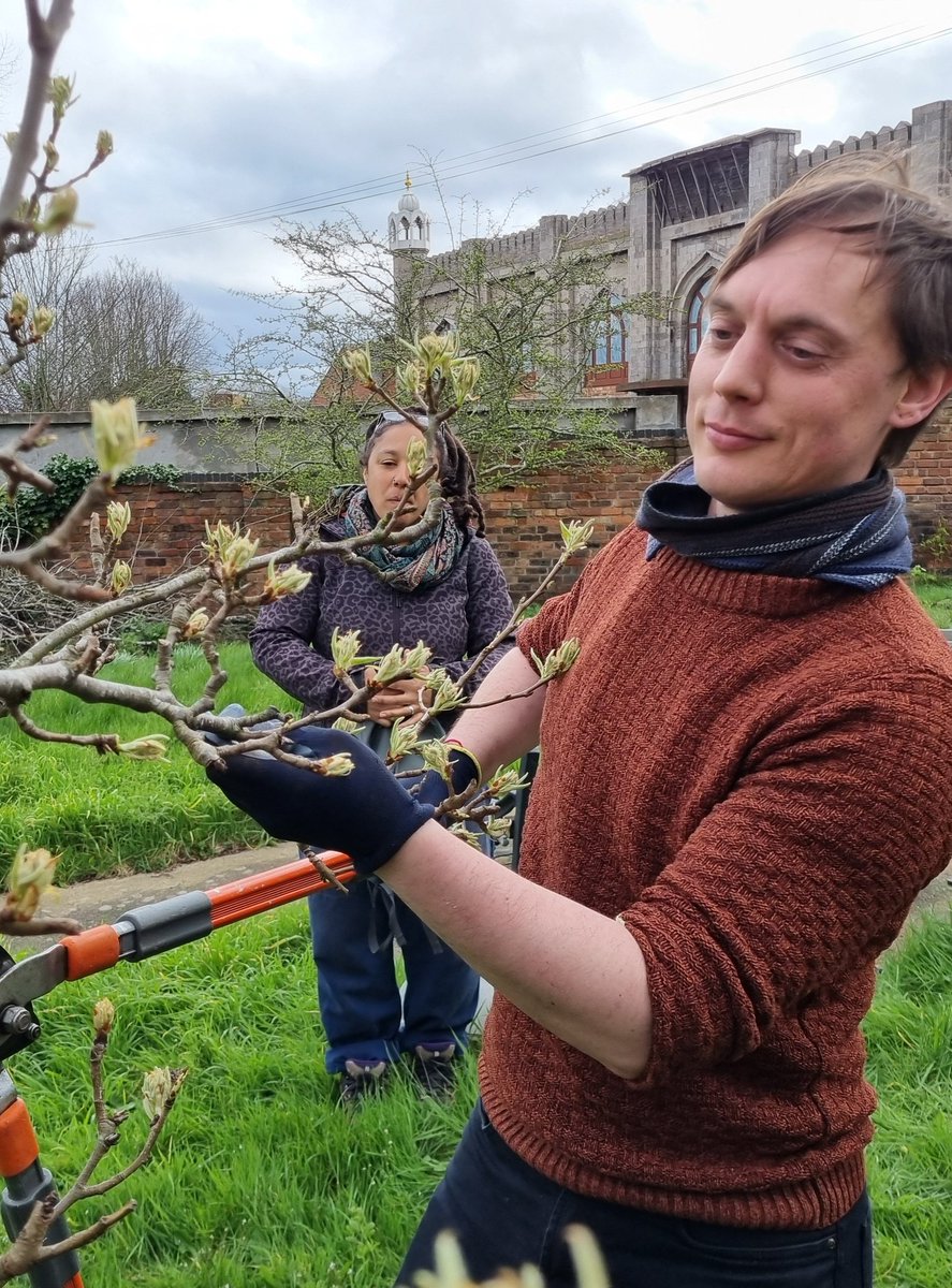 fruitnutvillage's tweet image. A visit to #NadenRoad #Orchard today. A few more #SoftFruit bushes, plants mulched and #PearTrees pruned. #Lozells
@TNLComFund