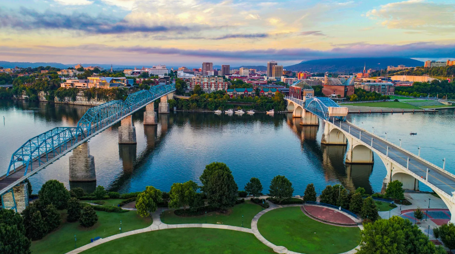 The Timeless Traveler tweet media