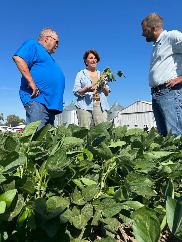 Amy Klobuchar tweet media