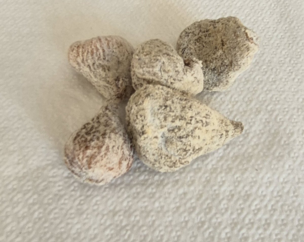 Imma Feliu i Xuclà tweet media